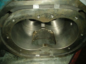 Pompe en fonte pour mélasse métallisée en stainless 316